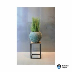 Kunstplant Etna AF S