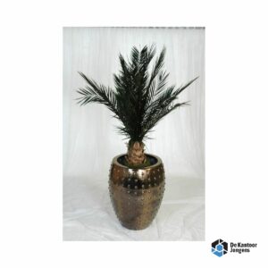 Gemummificeerde plant Saigon Bruin