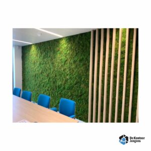 Akoestische Plat- en/of Bolmos op maat