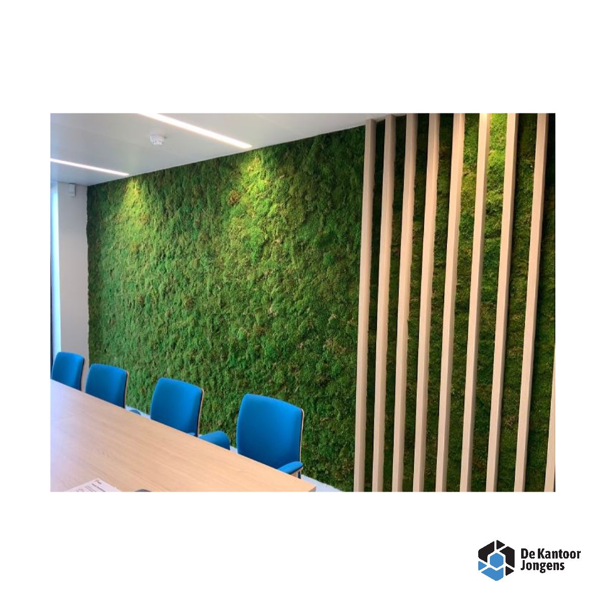 Akoestische Plat- en/of Bolmos op maat