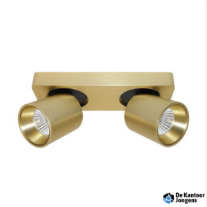 Opbouwspot LAGUNA 2lichts