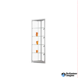 SDB Hoekvitrine 115 500 zilver met LED plafondspot en LED zijspots