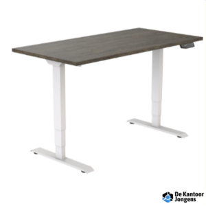 Elektrisch verstelbaar zit-sta frame (2 motoren)